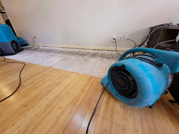 Professional Structural Drying technician working in Claremont, MN